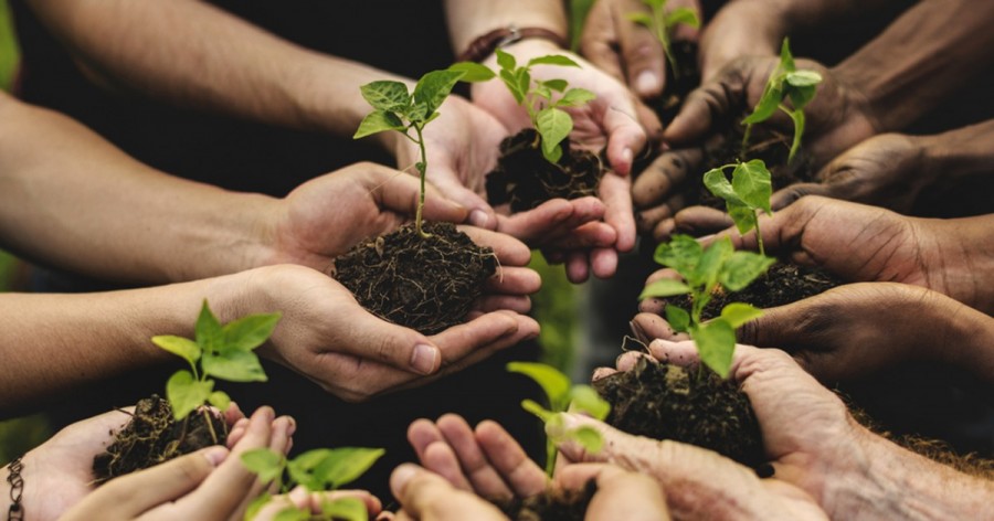 Coltiviamo Agricoltura Sociale, online il bando per l’edizione 2018