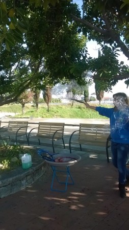 Spettacolo di bolle